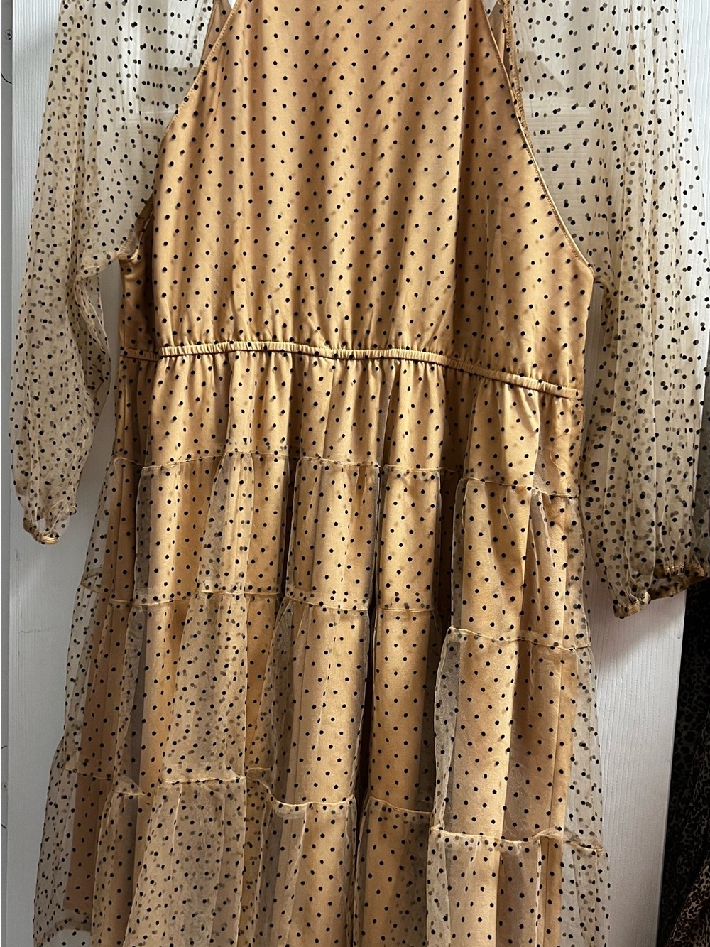 entro Mustard Polka Dot Tiered Mini Dress with Sheer Sleeves - Picture 2 of 3